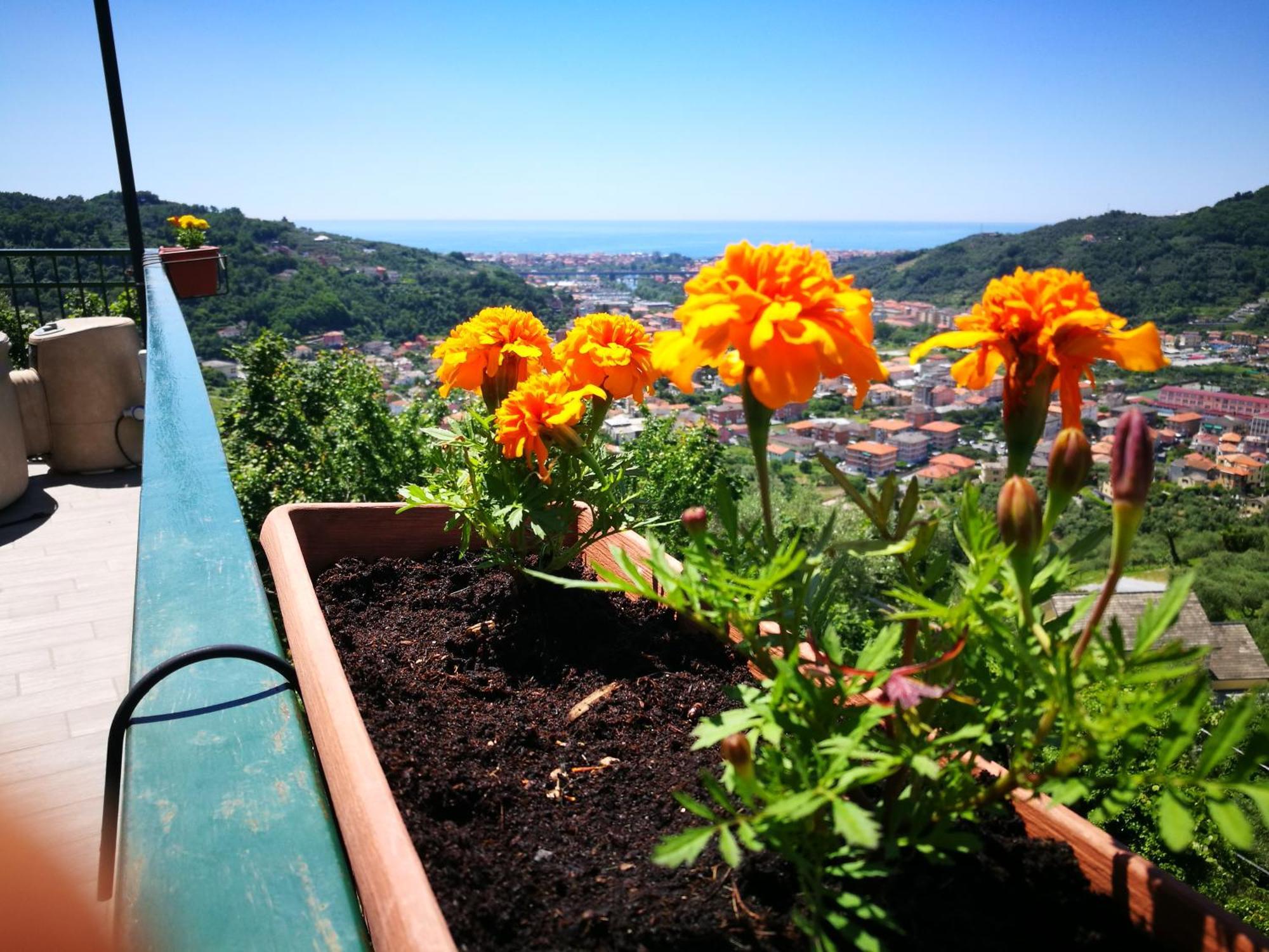 B&B La Terrazza Sui Fieschi Cogorno エクステリア 写真