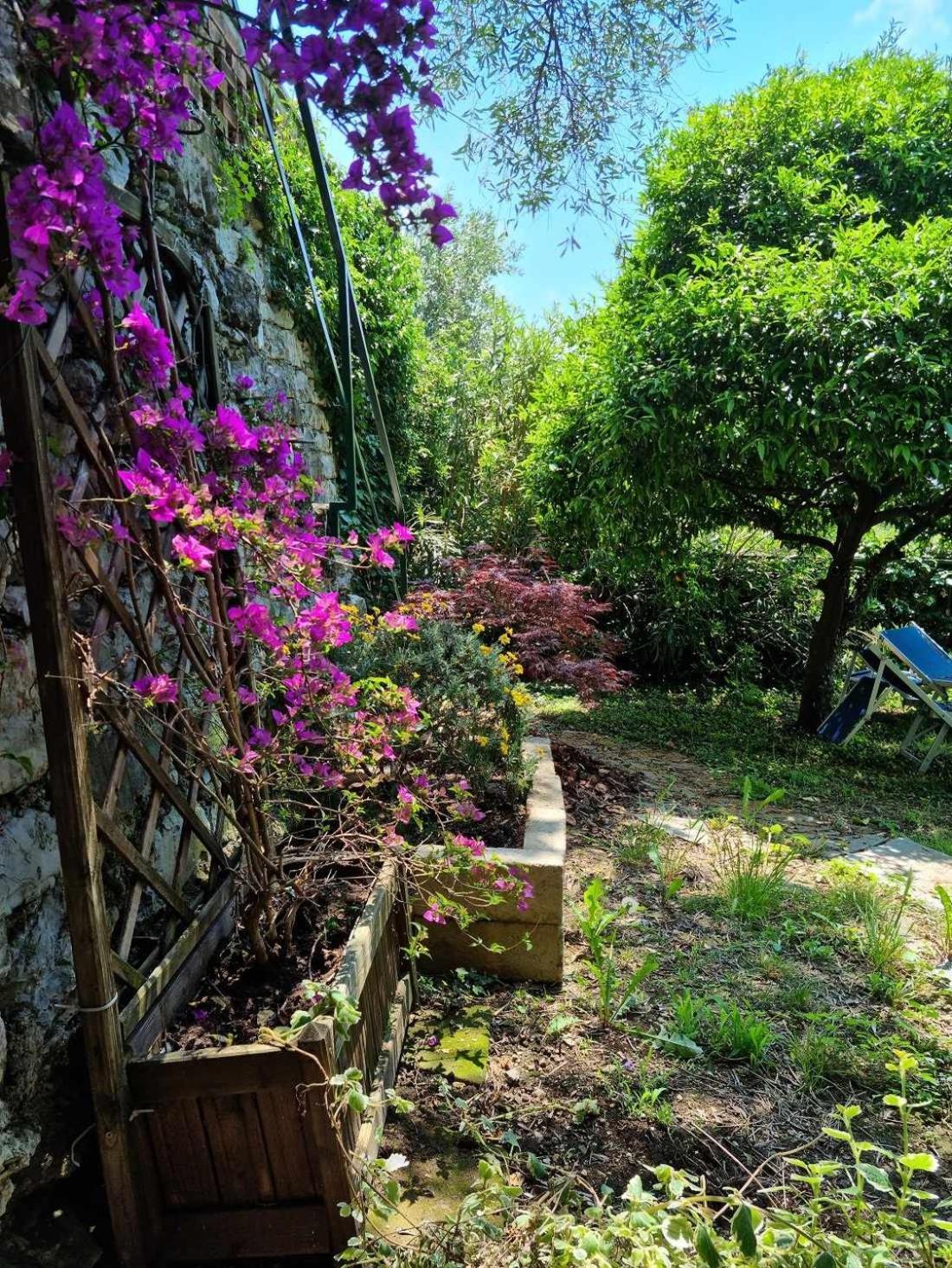 B&B La Terrazza Sui Fieschi Cogorno 部屋 写真